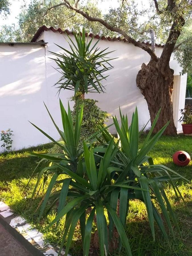Appartamento Valia House Thassos Skála Kallirákhis Esterno foto