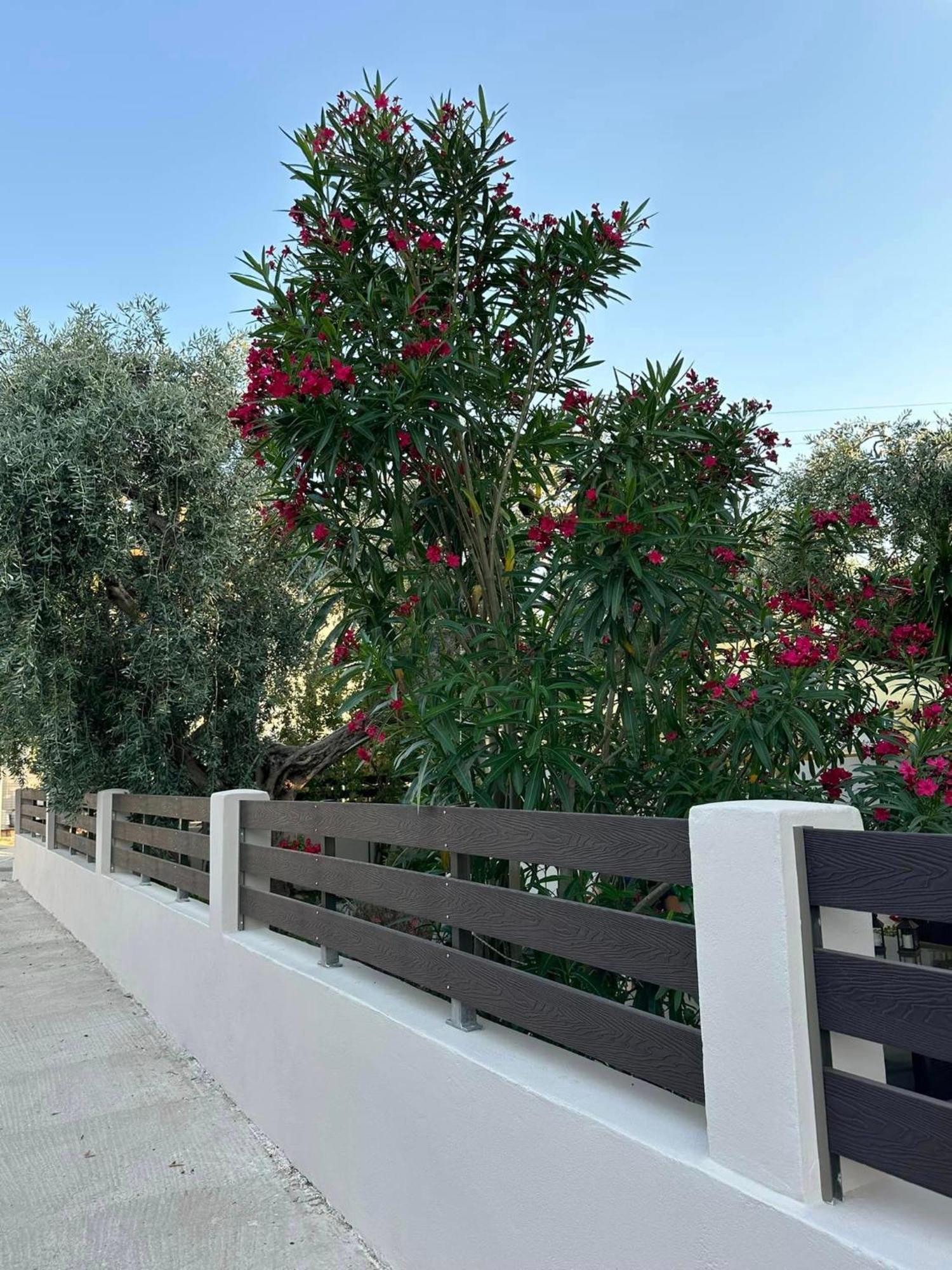 Appartamento Valia House Thassos Skála Kallirákhis Esterno foto