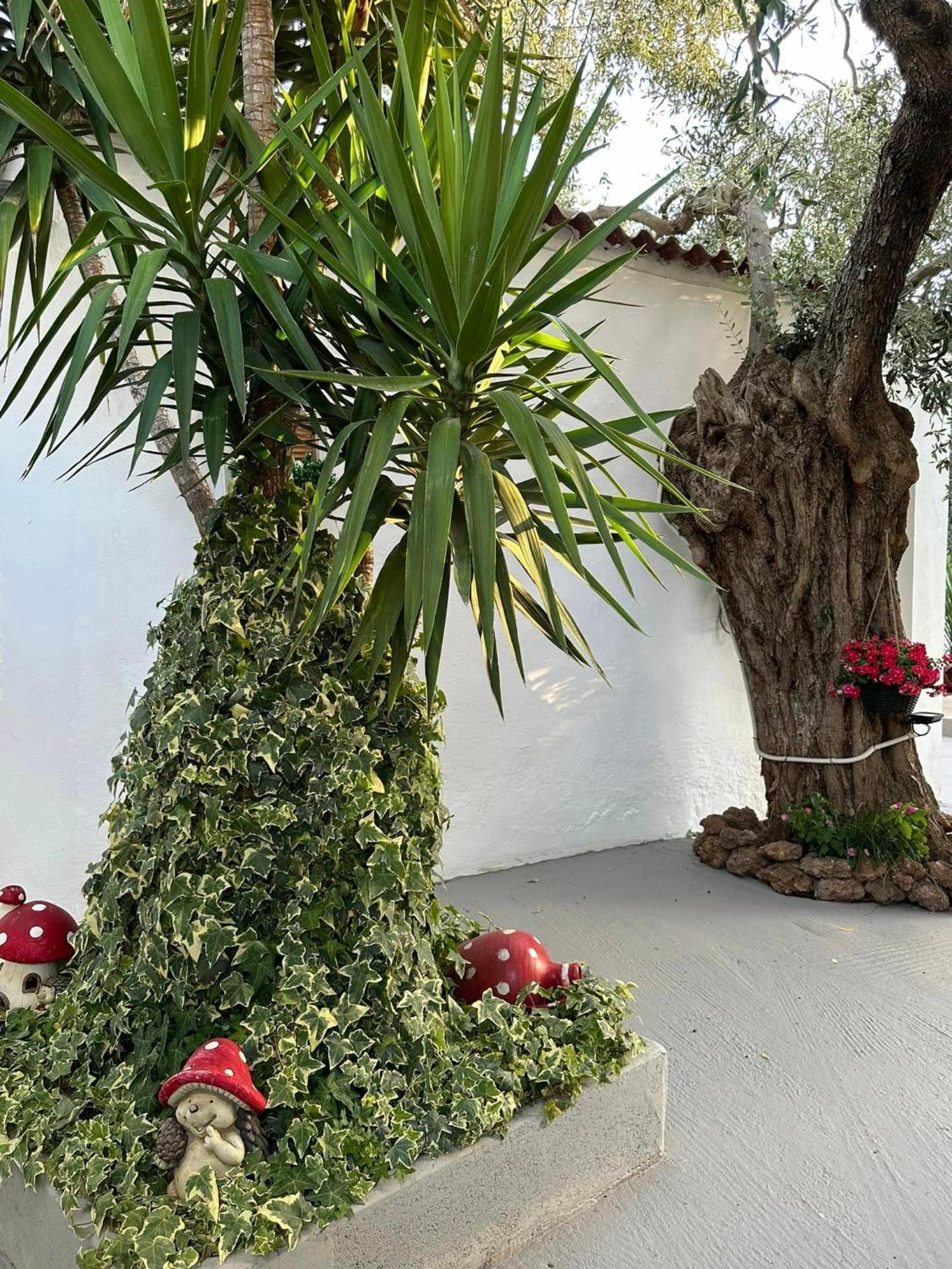 Appartamento Valia House Thassos Skála Kallirákhis Esterno foto